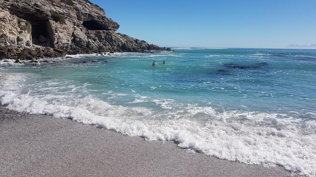Whale Cove A103 Apartment *